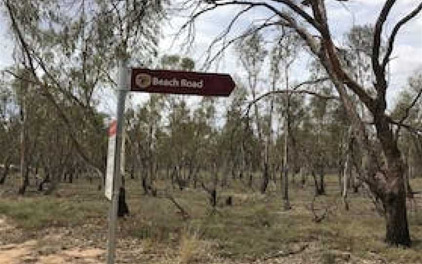 Wilbriggie Regional Park Beachs (East), Willbriggie, NSW