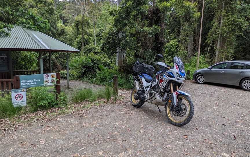 Williams River picnic area, Salisbury, NSW