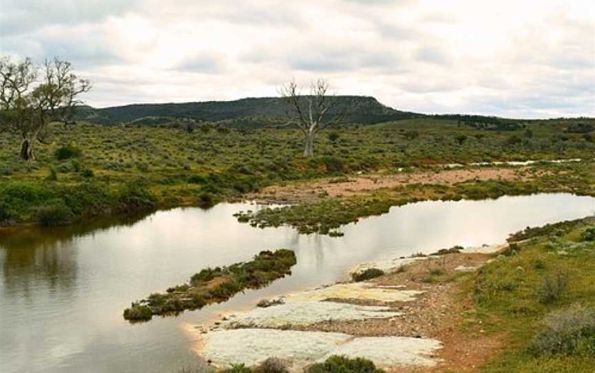 Willochra Creek, Willochra, SA