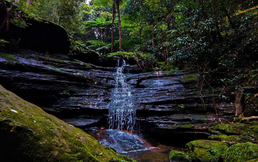 Willoughby Walks, Northbridge, NSW