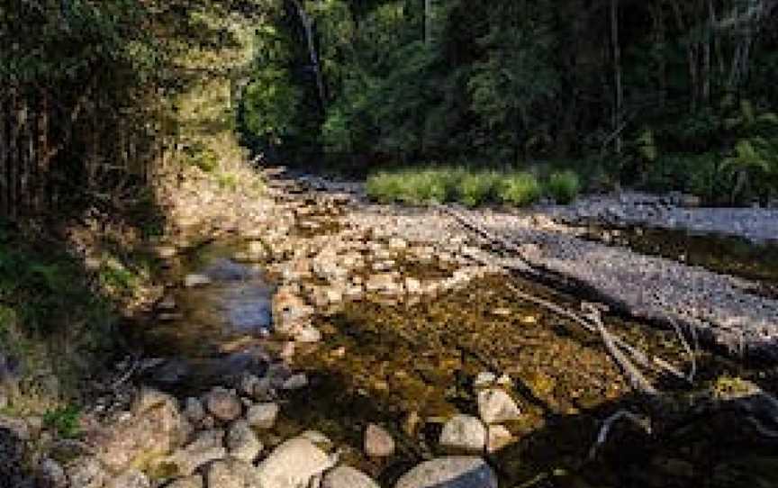 Wilson River picnic area, Banda Banda, NSW