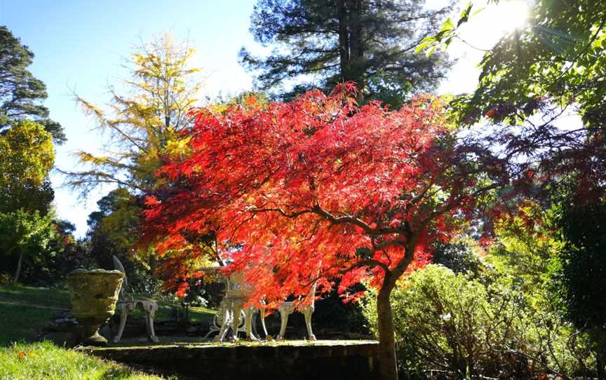 Windyridge Garden, Mount Wilson, NSW