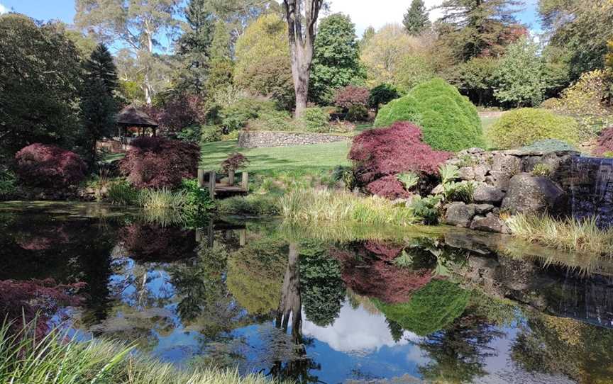 Windyridge Garden, Mount Wilson, NSW