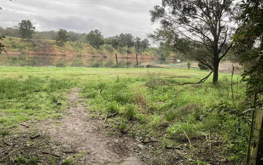 Wingham Brush Boardwalk, Wingham, NSW