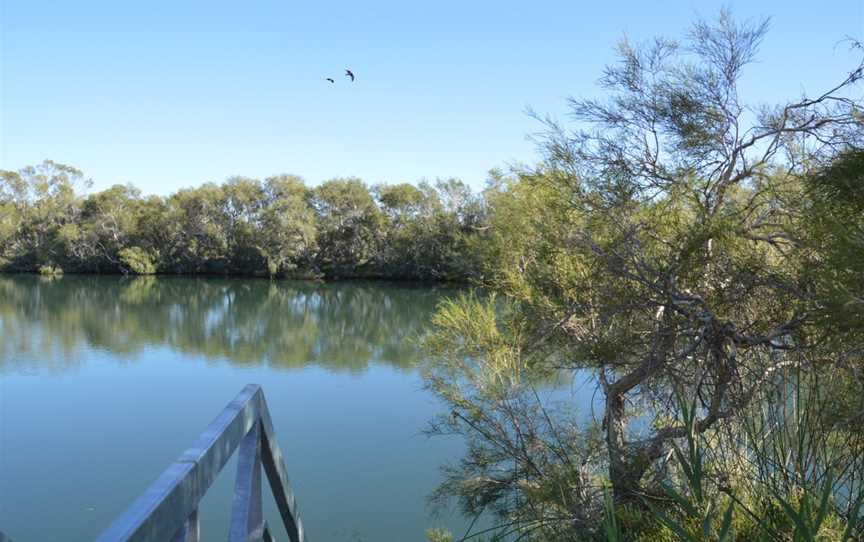 Witjira National Park, Oodnadatta, SA