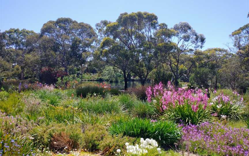 Wittunga Botanic Garden, Blackwood, SA