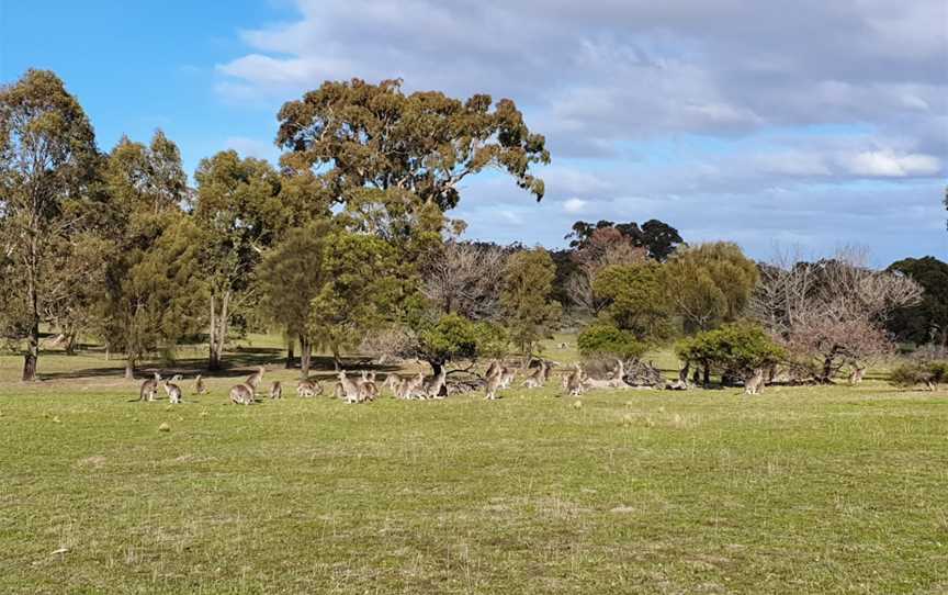 Woodlands Historic Park, Greenvale, VIC