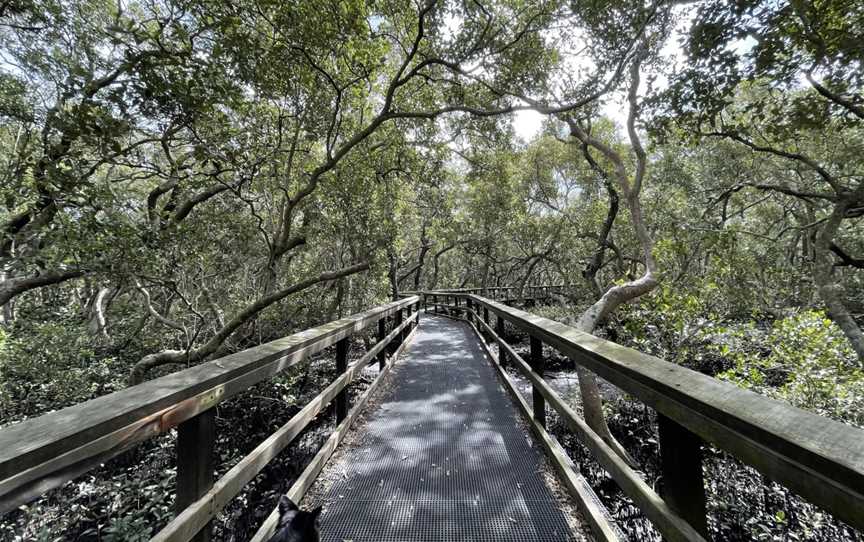 Wynnum North Mangrove Circuit, Wynnum, QLD