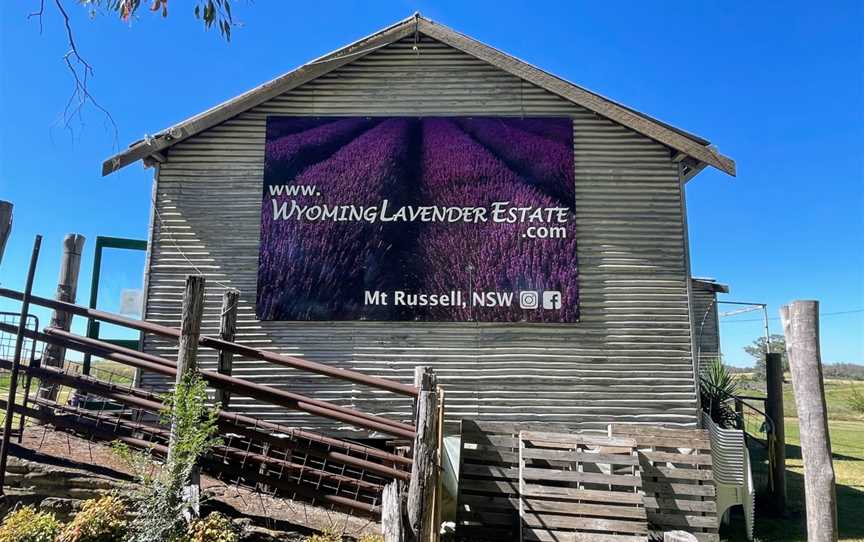 Wyoming Lavender Estate, Mount Russell, NSW