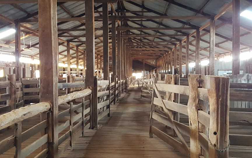 Yanga Woolshed picnic area, Balranald, NSW