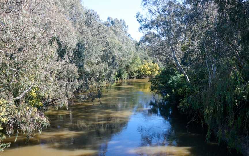 Yarra Flats, Ivanhoe East, VIC