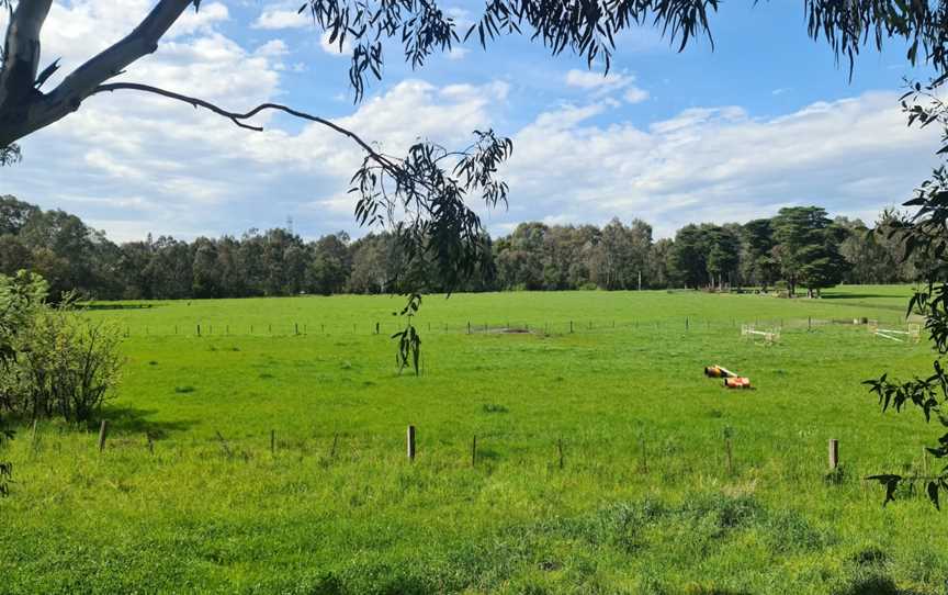 Yarra Flats, Ivanhoe East, VIC