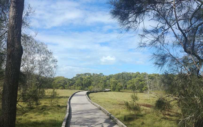 Boondall Wetlands Reserve, Boondall, QLD