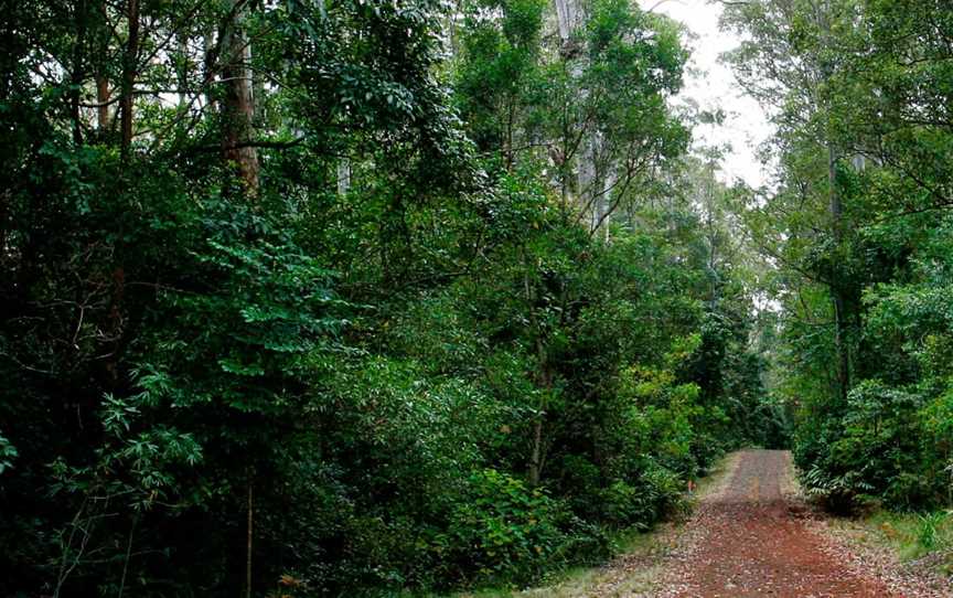 Cambridge Plateau Scenic Drive, Cambridge Plateau, NSW