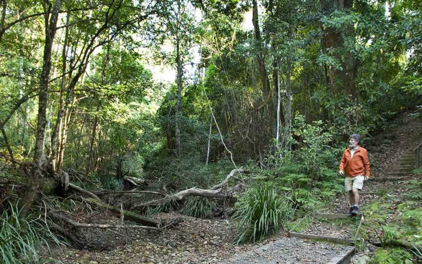 Cedar Park picnic area, Allgomera, NSW