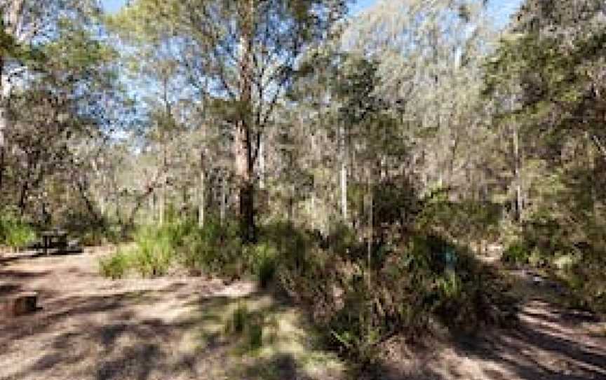 Dasyurus picnic area, Monga, NSW