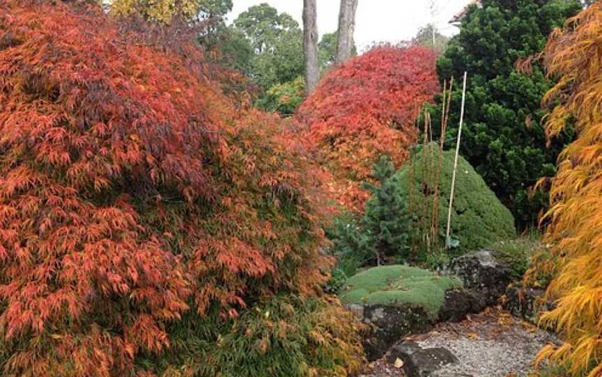 Merry Garth Garden, Mount Wilson, NSW