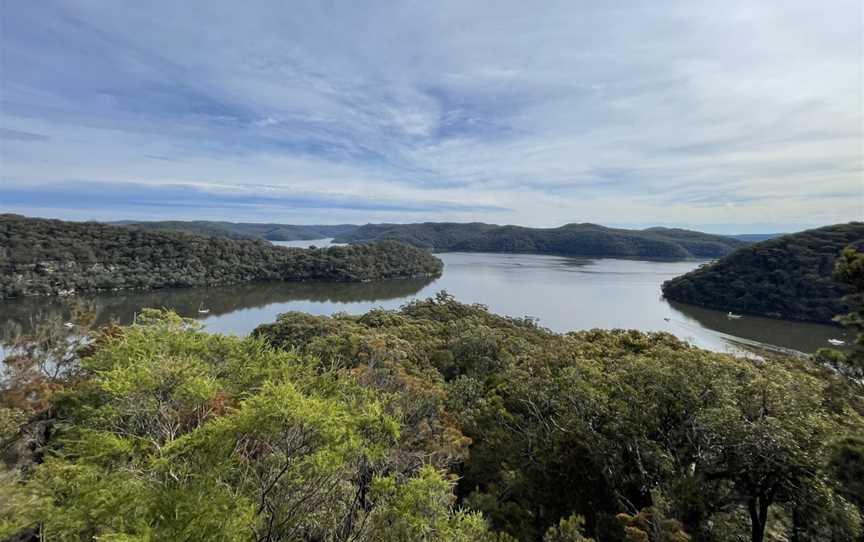 Topham Walking Track, Ku-Ring-Gai Chase, NSW