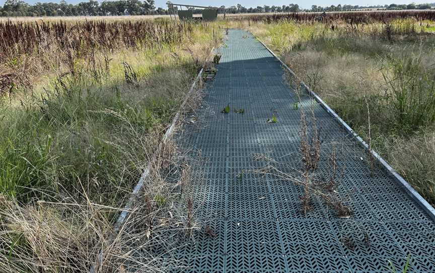 Whitehead Street Wetlands, Corowa, NSW