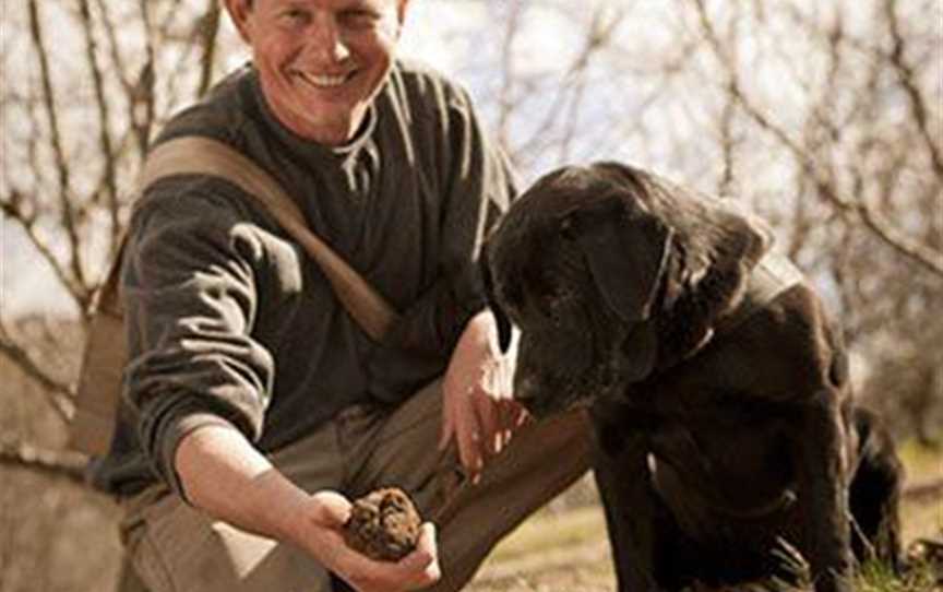 Manjimup truffles rival European counterparts