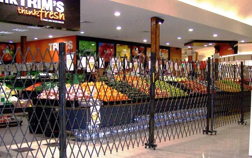 Commercial Trellis Security Doors