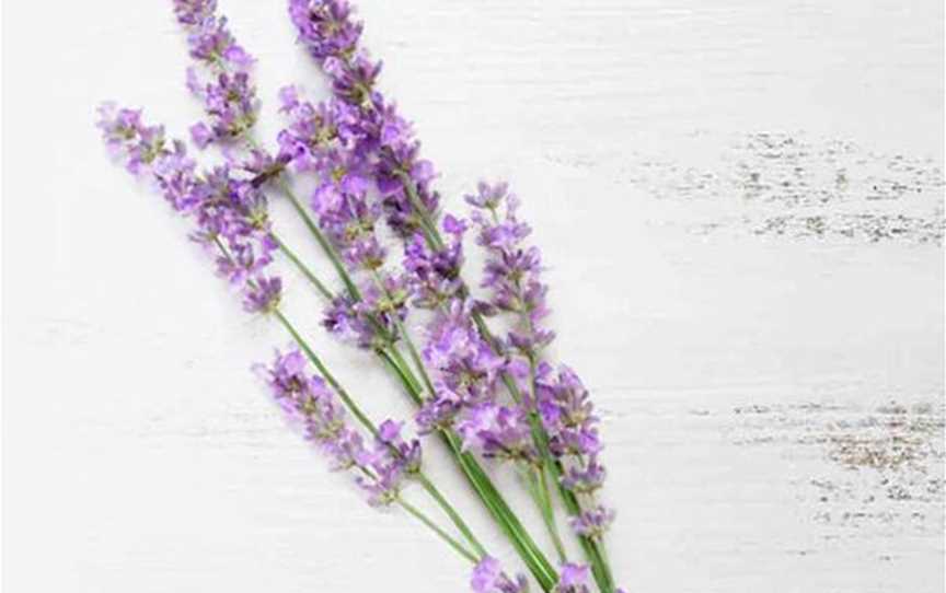 Yanchep Lavender, Shopping & Wellbeing in Yanchep