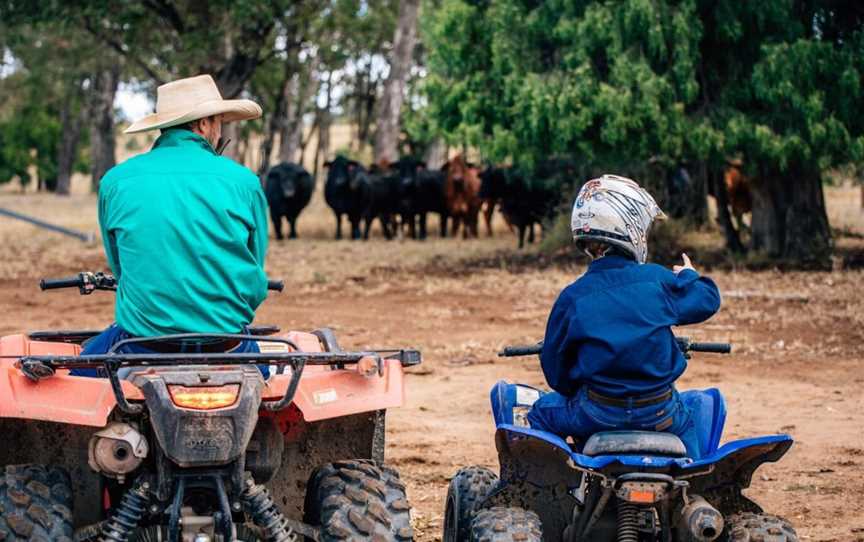 Classic country co, Shopping in Jimboomba