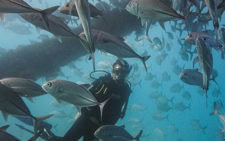 Dive Ningaloo, Tours in Exmouth