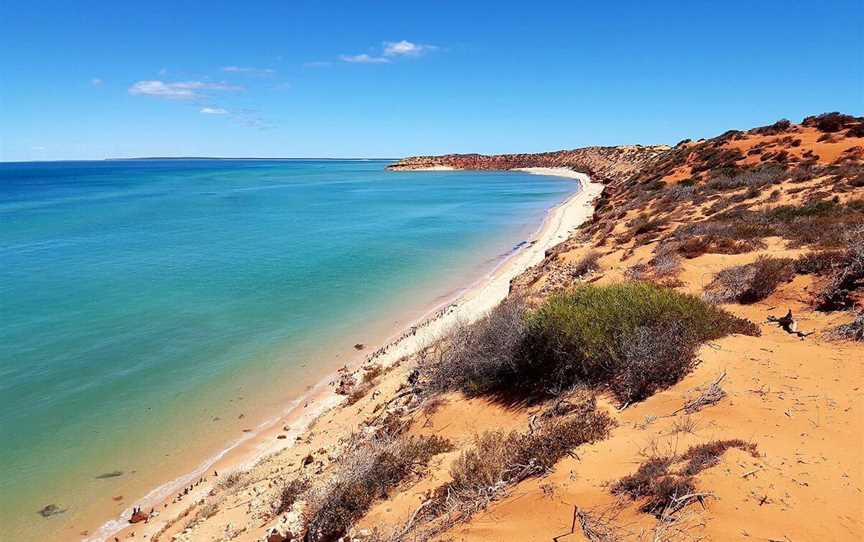 Shark Bay 4Wd Tours, Tours in Denham