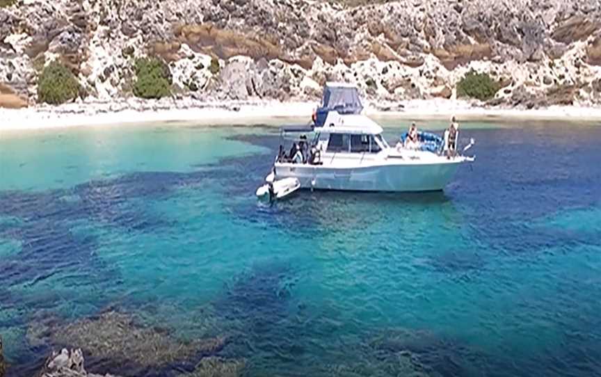 Boutique Cruise, Dive & Charter - Private boat hire for Perth, Rottnest Island, Fremantle, Tours in Perth CBD