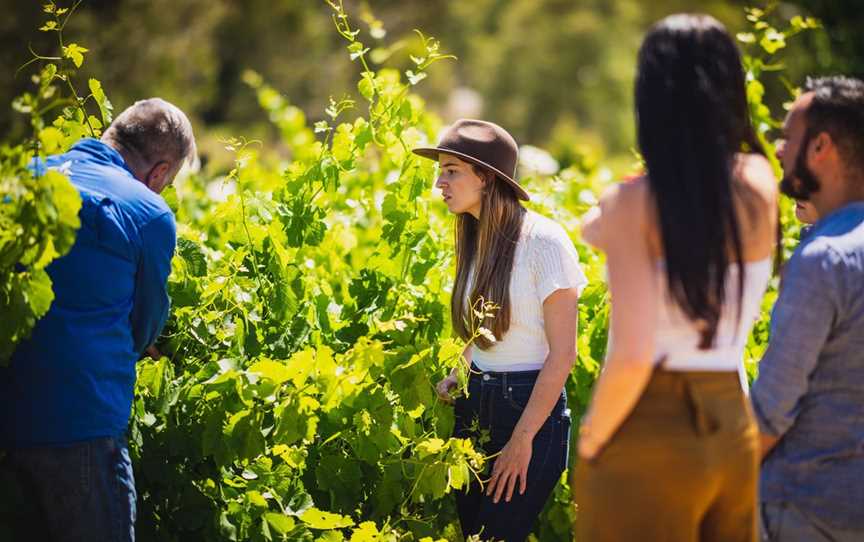 Up Close and Local Tours - Bickley Valley Wine, Gin and Cider Tours, Tours in Perth Hills, Carmel