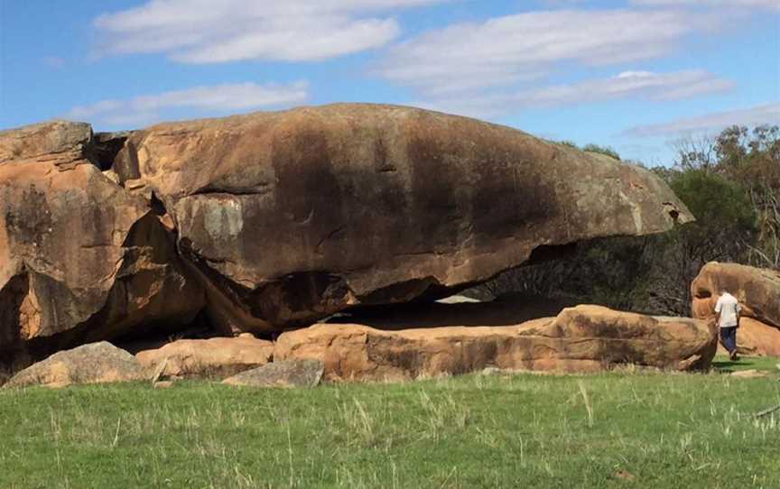 Njaki Njaki Aboriginal Cultural Tours, Tours in Merredin