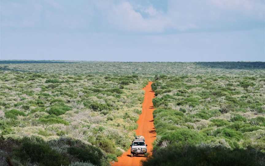 Francois Peron 4WD Tour, Tours in Monkey Mia