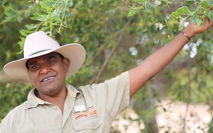 Kimberley Cultural Adventure Tour, Tours in Broome