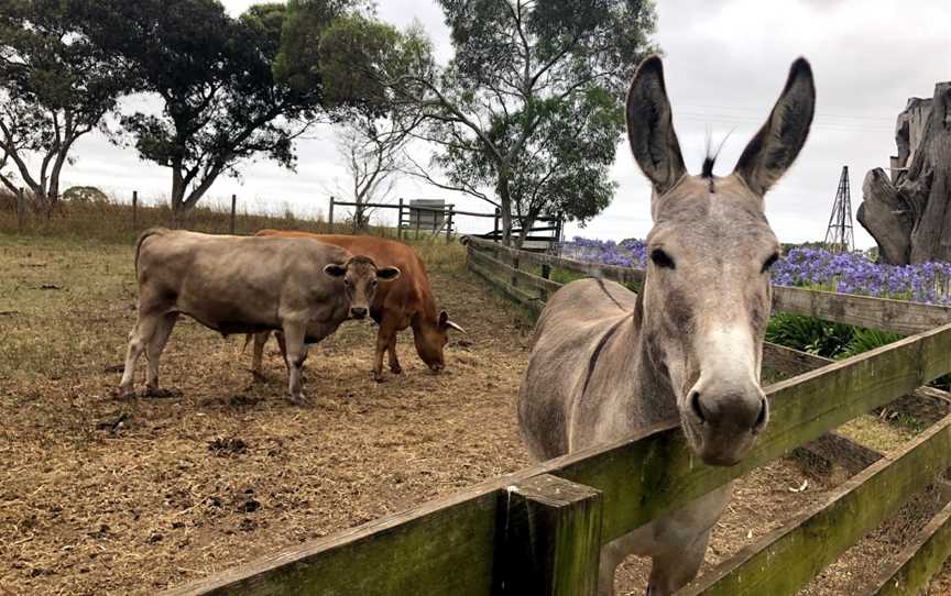 Echo Farm, Mount Gambier, SA