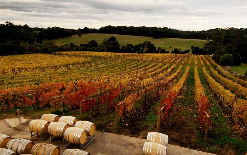 Wine Compass, Mt Martha, VIC