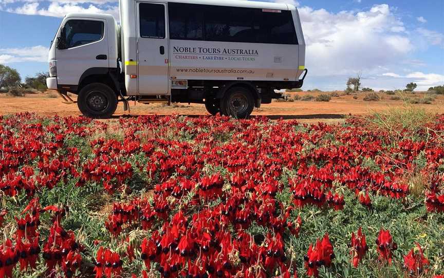 Noble Tours Australia, Coober Pedy, SA