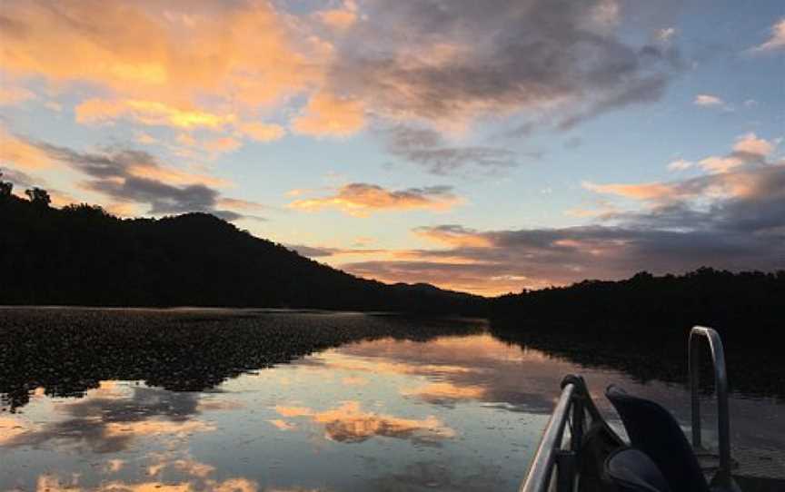 Dan Irby's Mangrove Adventures, Daintree, QLD