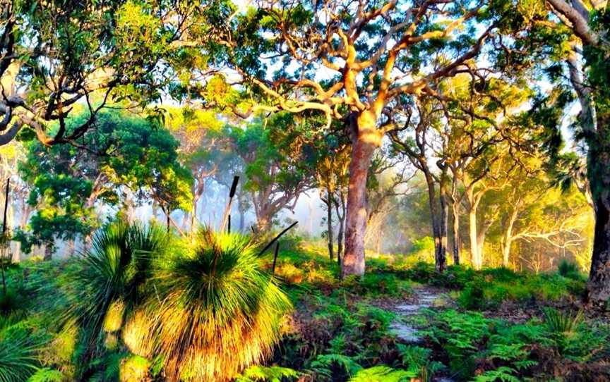 Pittwater Kayak Tours, Palm Beach, NSW