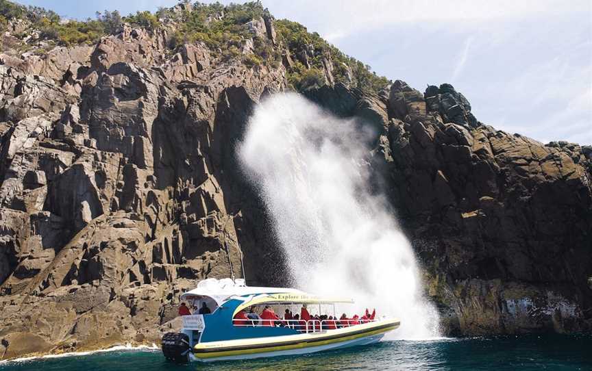 Bruny Island Cruises, Tours in Hobart