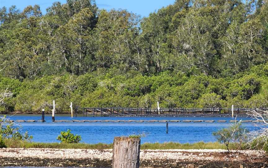 Free Spirit Cruises, Forster, NSW