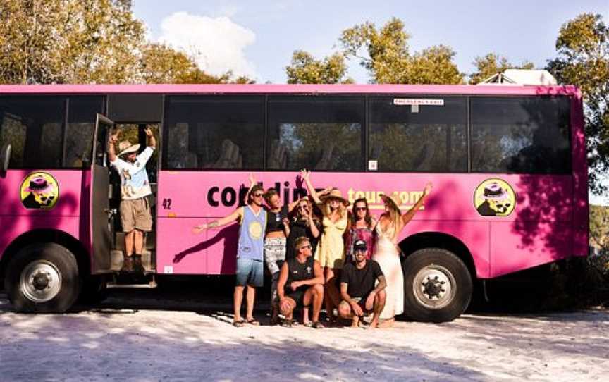 Cool Dingo Tours, Fraser Island, QLD