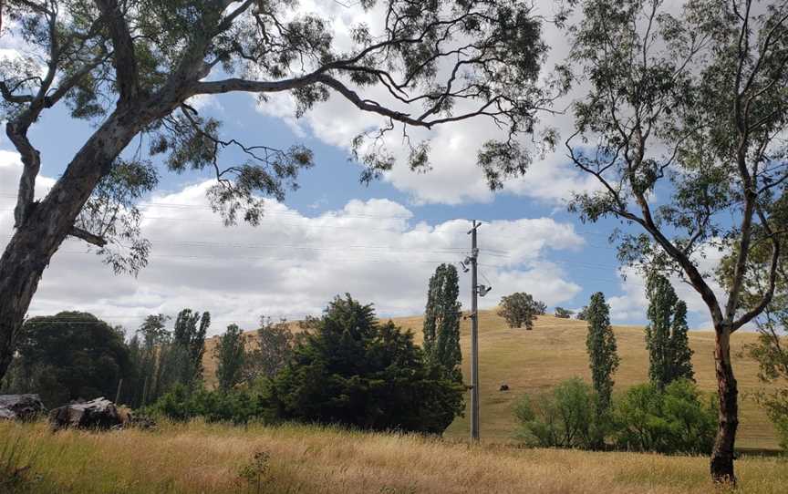 Yarra Valley Wine Tasting Tours, Melbourne, VIC