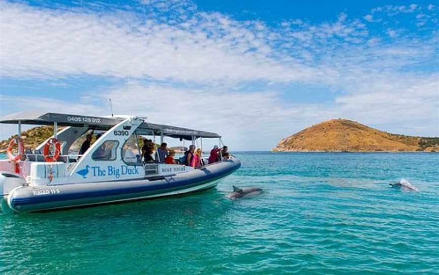 The Big Duck Boat Tours, Victor Harbor, SA