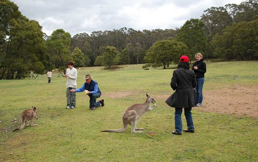 FJ Tours - Day Tours, Sydney, NSW