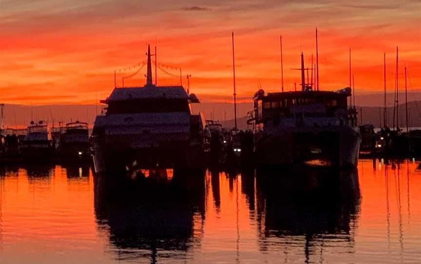 Moonshadow - TQC Cruises, Nelson Bay, NSW