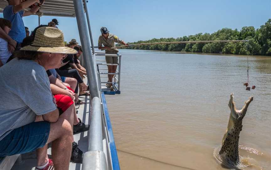 Spectacular Jumping Crocodile Cruise, Darwin, NT