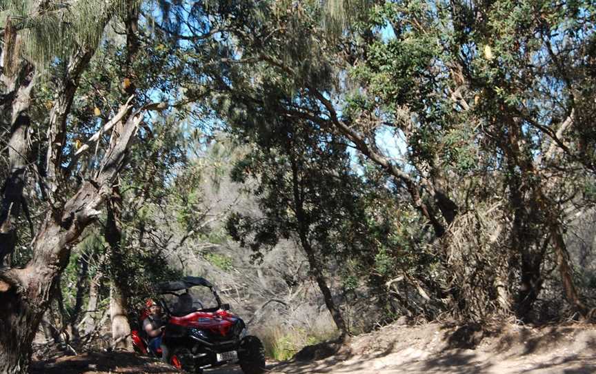 Gold Coast Island Buggy Tours, Main Beach, QLD