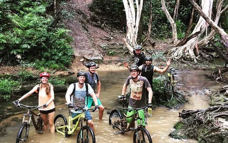 Bike N Hike Adventure Tours, Port Douglas, QLD