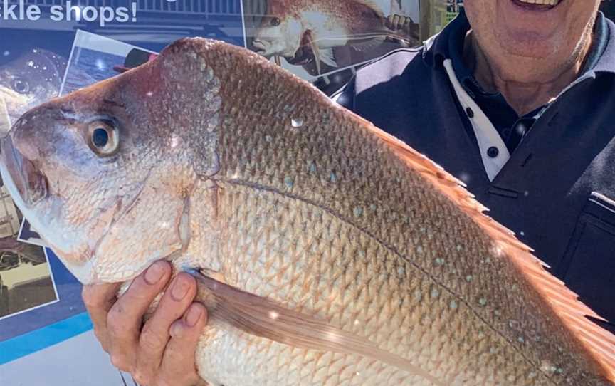 Port Macquarie Fishing Charters, Port Macquarie, NSW